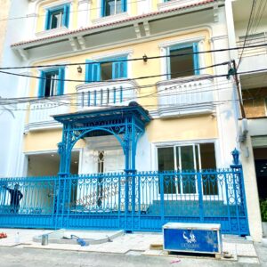 Cửa cổng sắt mỹ thuật CC120